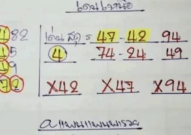 เลขเด็ด “แพนแพนพารวย” งวด 16 พฤศจิกายน 2568 — สูตรลับสถิติเข้าเป้ารัวๆ พารวยก่อนใคร!